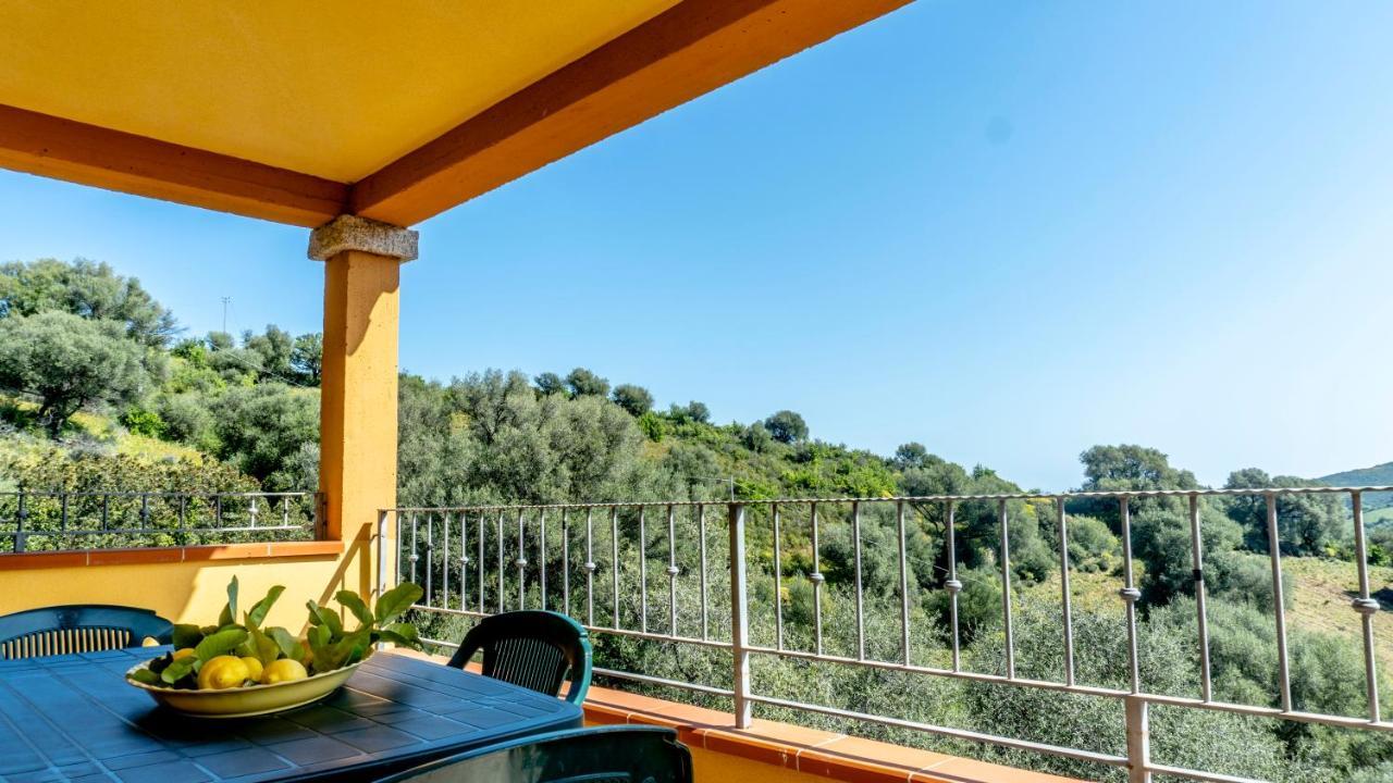 Appartamenti Dodi Lt - Pms Casevacanze Budoni Exterior photo